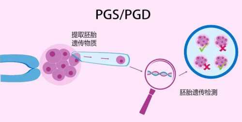 靠谱的代孕机构电话,女孩们注意❗不想多囊高雄“变丑”这样做