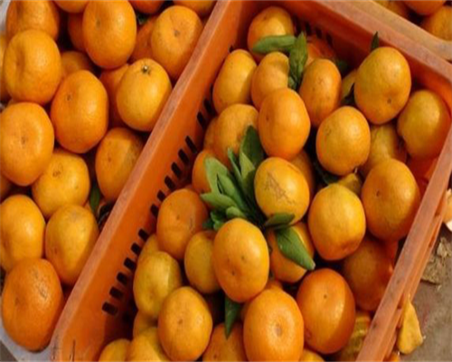 2026
年武汉市供卵试管不排队机构名单,武汉试管生育医院最新版