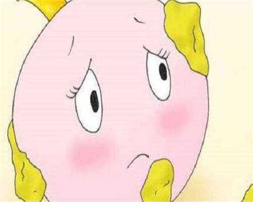 天津市三胎最新政策：三胎家庭可不可以落户，详细准生证落户指南